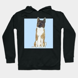 Akita inu Hoodie